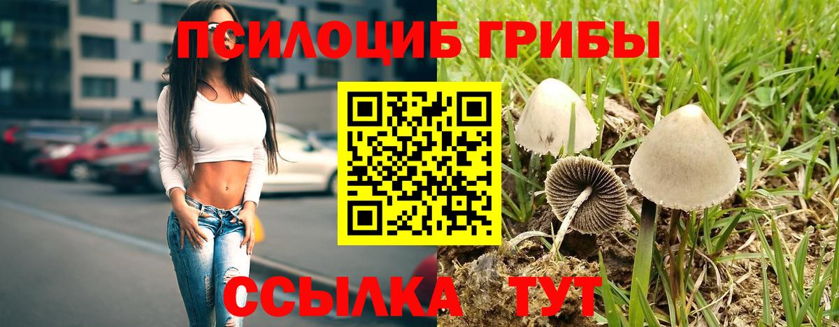 Приморско-Ахтарск  Галлюциногенные грибы мицелий  Вход с VPN 